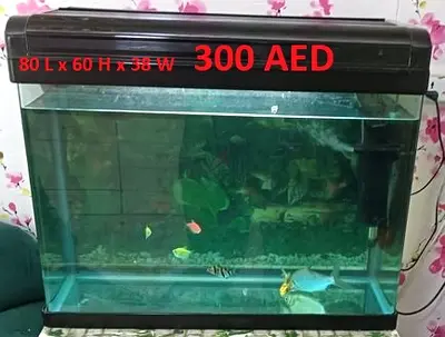 FISH TANK FOR 240 AED INCLUDING FISH ,FISH FILTER, HEATER, FOOD. IN SHARJAH 80 L x 60 H x 38 W SIZE