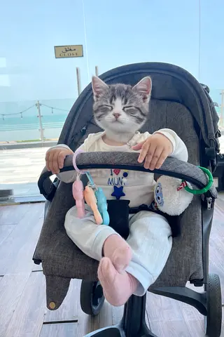 Stylish Baby Stroller with Safety Features