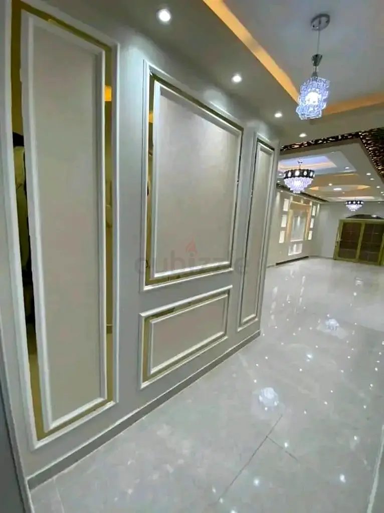 DPV_View_Image_8