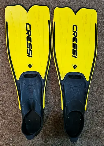 Swimming shoes