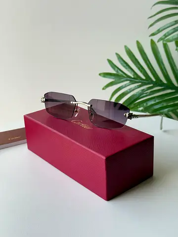 Cartier sunglasses for men
