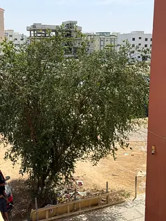 Brand-new 1bhk apartment first shifting school area Molla Sharjah Brand-new 1bhk apartment first shi