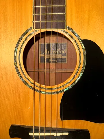 Ibanez Artwood AW300 NT Acoustic Guitar with Case – Flawless Condition