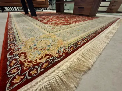 Elegant Traditional Area Rug