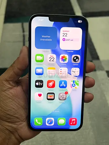 Iphone 13 Pro Max 256Gb Fixed Price