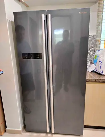 New model Panasonic double door refrigerator freestanding