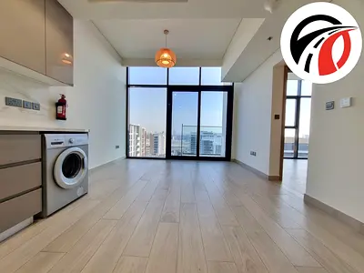 Beautiful view / Spacious 1bedroom hall / high floor