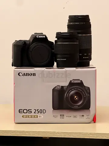 Canon EOS 250D DSLR with Lenses