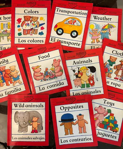 Spanish vocabulary books