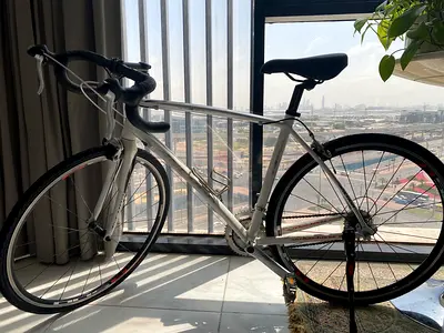 Anchor cycle for sale