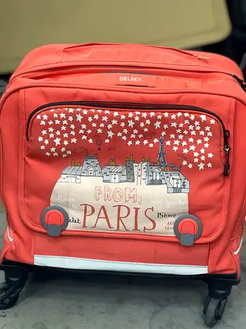 Charming Delsey Rolling Luggage with Paris Design