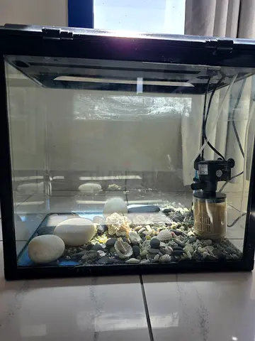 Aquarium 15 gallon camry(used)