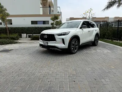 No deposit / free delivery-Tabby TAMARA Accepted