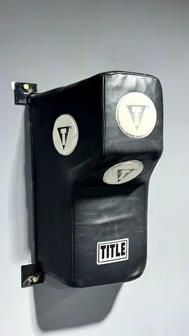 TITLE wall Bag for Boxing and Martial Arts Training