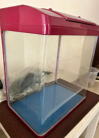 Fish tank 40cm
