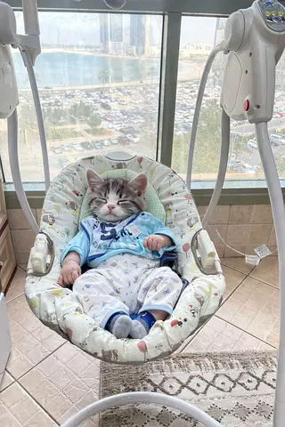 Gently Used Baby Swing in Excellent Condition