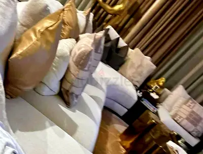 Chattles and more premium quality olta feather filled modular sofa