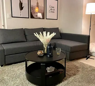 Stylish Grey Sectional Sofa bed with storage