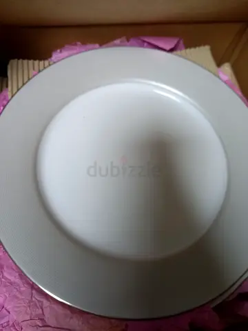 Elegant White Dinner Plate-12pcs