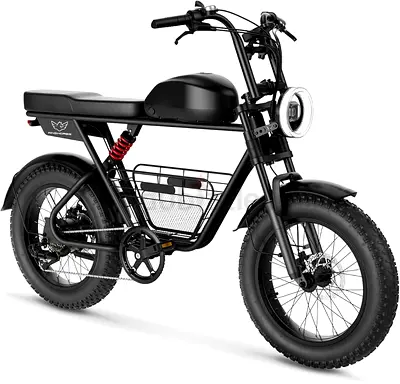 Wind Horse D5 Electric Bike