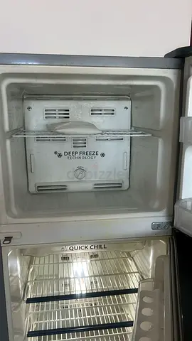 Deep Freeze Refrigerator for Sale
