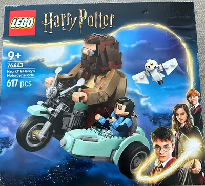 LEGO Harry Potter - Hagrid  Harrys Motorcycle Ride (76443)