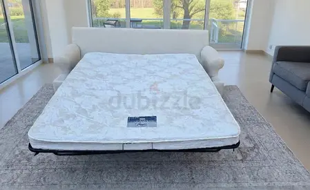 Crate and Barrel two seater sofa bed with mattress