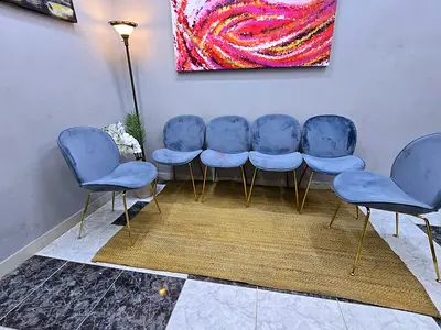 Elegant Blue Velvet Chairs with Gold Legs