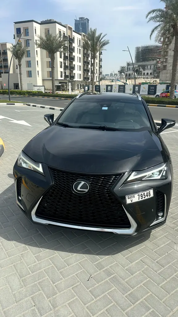 Lexus UX-Series 2022 — photo 1 of 19