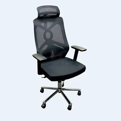 Ergonomic Office Chair with Adjustable Headrest