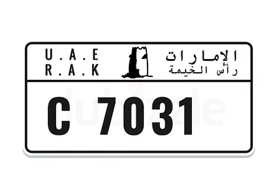 C 7031