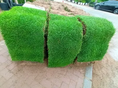 Natural Grass 1meter