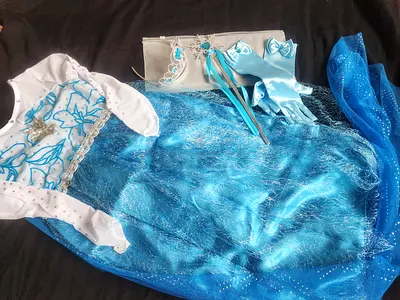 Frozen dress