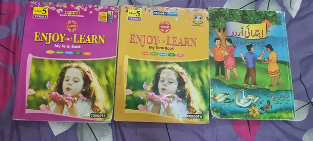 City school CBSC Class 5 Term Books — 2 ‘Enjoy  Learn’ English math science sst + Urdu term 1  2