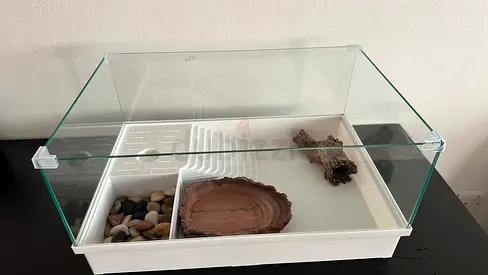 Turtle tank