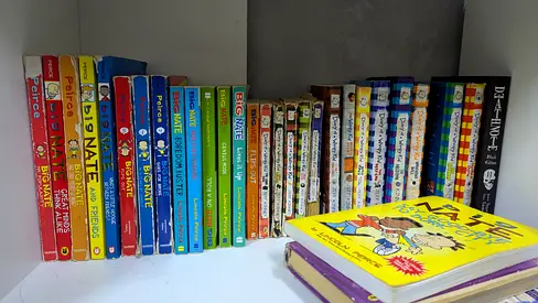 Big Nate and Diary of a wimpy kid books
