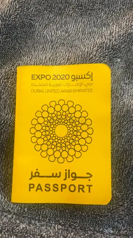 Expo 2020 passport