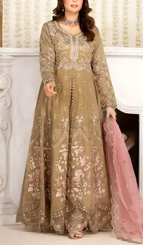 Elegant Embroidered Long Dress