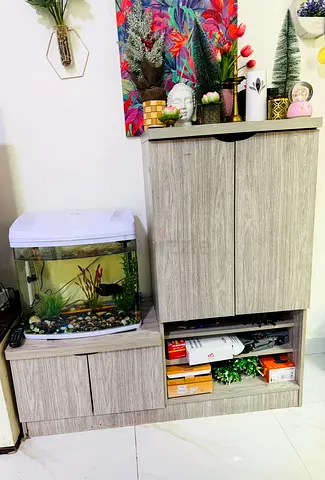 Modern Wooden Cabinet with Aquarium Base