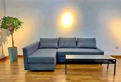 Comfortable Grey Sectional Sofa-bed