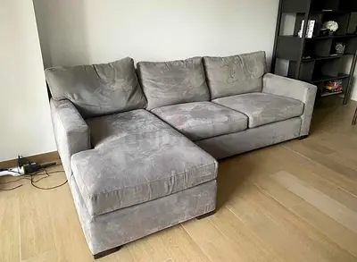 CrateBarrel axis feather filled L Shape Sofa