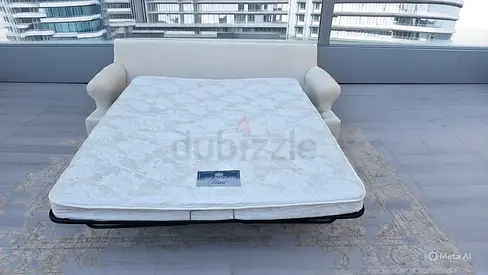 Crate and Barrel two seater sofa bed with mattress