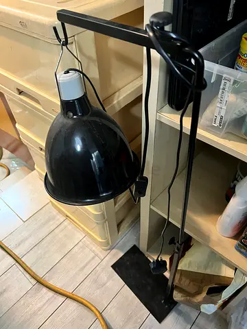 Turtle Heating UV Light