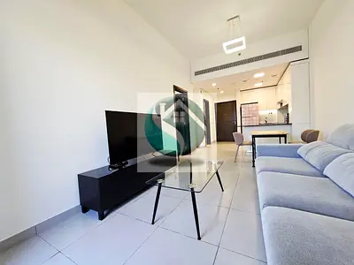luxury fully furnished 1bedroom with srorage ready to move
