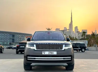 40% OFF Discount - Free Delivery- Tabby Available- Best Price