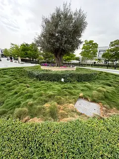 Spacious 5BHK Villa | Ready to move | Spacious and Big Layout