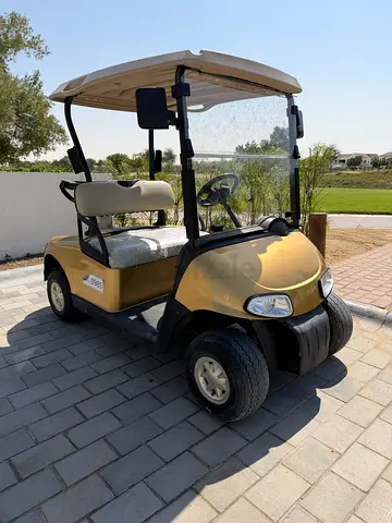 Golf buggy EZGO RXV 2 seater