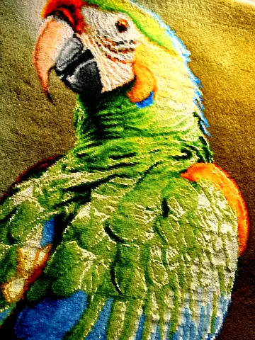 Luxury Handmade Pictorial Carpet – Wall Art