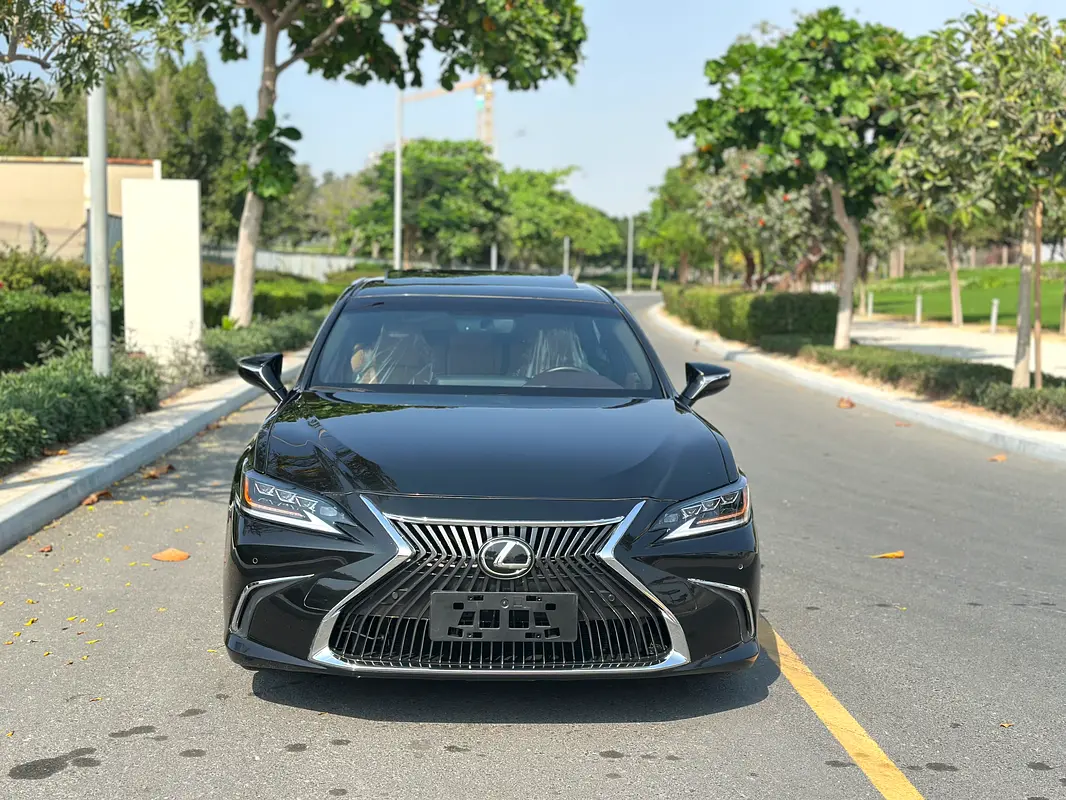 Lexus ES-Series 2019 — photo 1 of 15