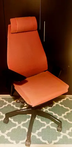 Professional Office Chair with metal leg